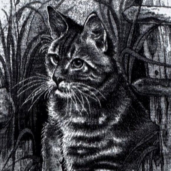 Vintage Biederlack Cat Blanket Throw Black White Tabby Cat Woods Scene USA - Picture 2 of 6